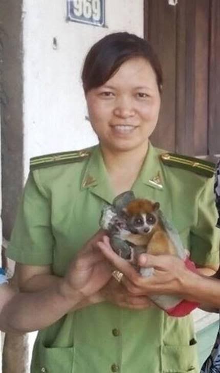 ENV[-]hỗ[-]trợ[-]chuyển[-]giao[-]3[-]cá[-]thể[-]động[-]vật[-]hoang[-]dã[-]còn[-]sống[-]và[-]tịch[-]thu[-]21[-]tiêu[-]bản[-]rùa[-]biển
